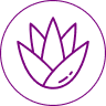 icon aloevera