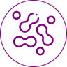 icon lactobacillus (1)