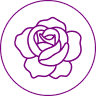 icon rosa